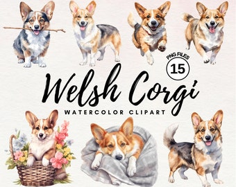 Corgi Clipart Bundle | Watercolor Welsh Corgi Dog Clipart PNG Bundle - Transparent - Perfect for Card Making, Printing - Commercial License