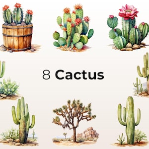 Puede incluir: Ocho ilustraciones de acuarela de diferentes tipos de cactus, incluyendo un cactus saguaro, un cactus de chumbera y un cactus barril. Las ilustraciones est&aacute;n sobre un fondo blanco y presentan una variedad de colores, incluyendo verde, marr&oacute;n y rosa.