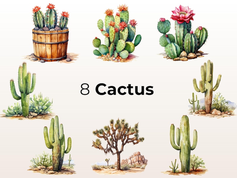 Puede incluir: Ocho ilustraciones de acuarela de diferentes tipos de cactus, incluyendo un cactus saguaro, un cactus de chumbera y un cactus barril. Las ilustraciones est&aacute;n sobre un fondo blanco y presentan una variedad de colores, incluyendo verde, marr&oacute;n y rosa.