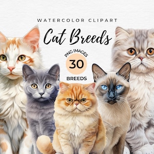 Aquarelle de races de chats Clipart | Lot de 30 races de chats, cadeau pour amoureux des chats, fabrication de cartes, impression, papier numérique, bricolage, scrapbooking, usage commercial