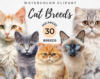 Watercolor Cat Breeds Clipart | 30 Cats Breeds Bundle, Cat Lover Gift, Card Making, Printing, Digital Paper DIY Scrapbooking, Commercial Use