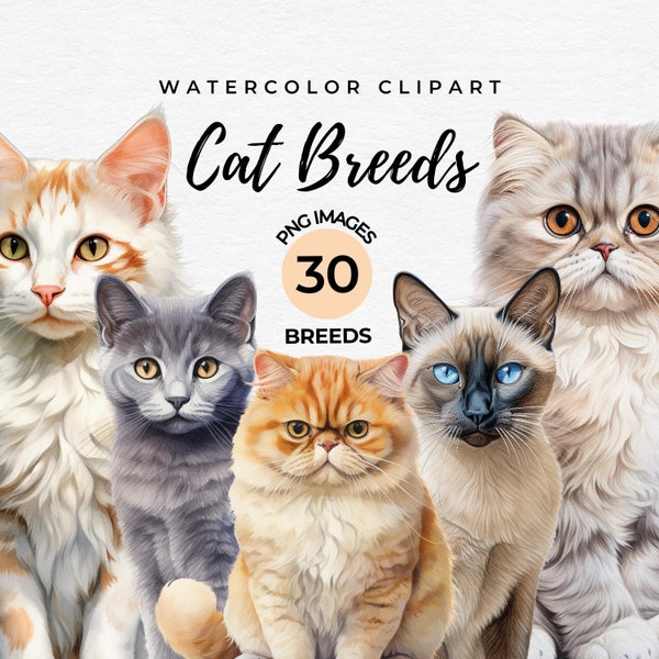 Watercolor Cat Breeds Clipart | 30 Cats Breeds Bundle, Cat Lover Gift, Card Making, Printing, Digital Paper DIY Scrapbooking, Commercial Use