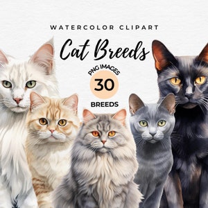 Aquarelle de races de chats Clipart | Lot de 30 races de chats PNG, cadeau pour amoureux des chats, fabrication de cartes, papier numérique artisanat bricolage scrapbooking, usage commercial