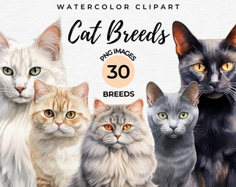 Watercolor Cat Breeds Clipart | 30 Cats Breeds PNG Bundle, Cat Lover Gift, Card Making, Digital Paper Craft DIY Scrapbooking, Commercial Use