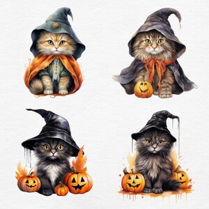 K&ouml;nnte beinhalten: Vier Aquarellillustrationen von flauschigen Katzen in Halloween-Hexenkost&uuml;men. Jede Katze tr&auml;gt einen spitzen Hut und einen Umhang, mit K&uuml;rbissen in der N&auml;he. Die Katzen haben unterschiedliche Fellfarben: orange, braun und grau.