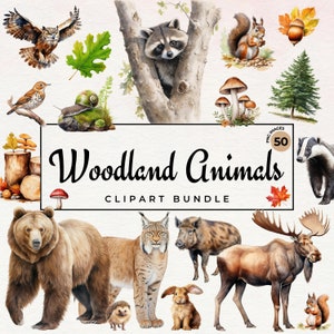 Clipart de animais da floresta | Animais da floresta em aquarela PNG, clipart de berçário, papel digital DIY Scrapbooking, raposa, urso, cervo - uso comercial