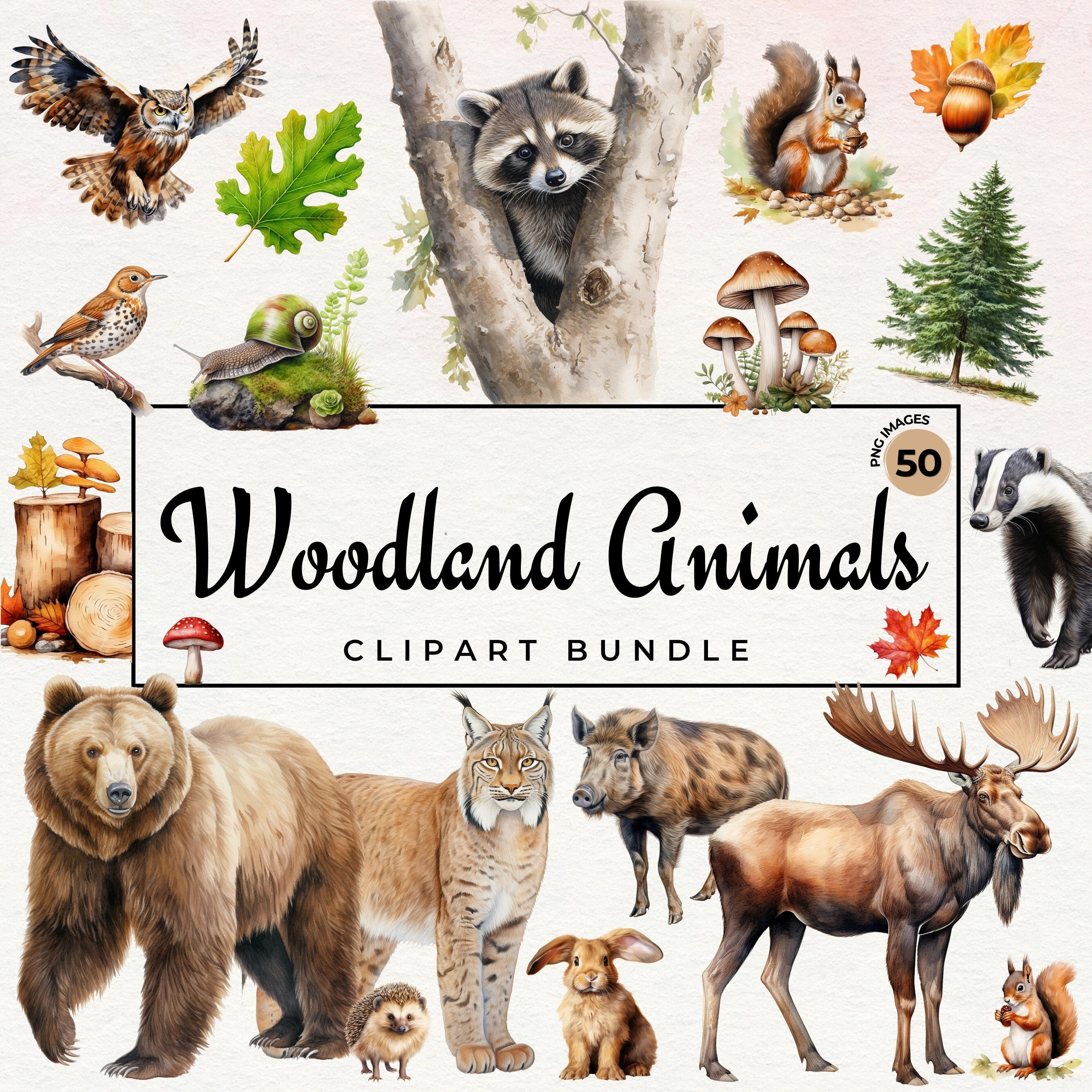 Woodland Animals Clipart | Watercolor Forest Animals PNG, Nursery Clipart, Digital Paper DIY Scrapbooking, Fox, Bear, Deer - Commercial Use
