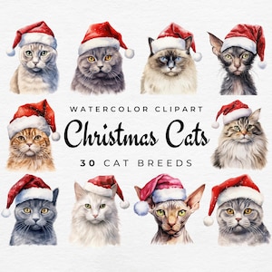 Puede incluir: Ilustración en acuarela de varias razas de gatos con gorros de Papá Noel. La imagen incluye el texto "Christmas Cats" y "30 Cat Breeds". Los gatos tienen diferentes colores y patrones de pelaje, con un tema festivo.