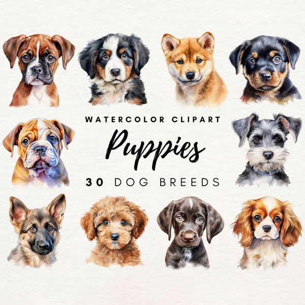 Watercolor Puppy Clipart | 30 Dog Breeds Clipart Bundle, Puppy Dog Clipart PNG Cute Dog Breed Illustration, Pets Clipart DIY, Commercial Use