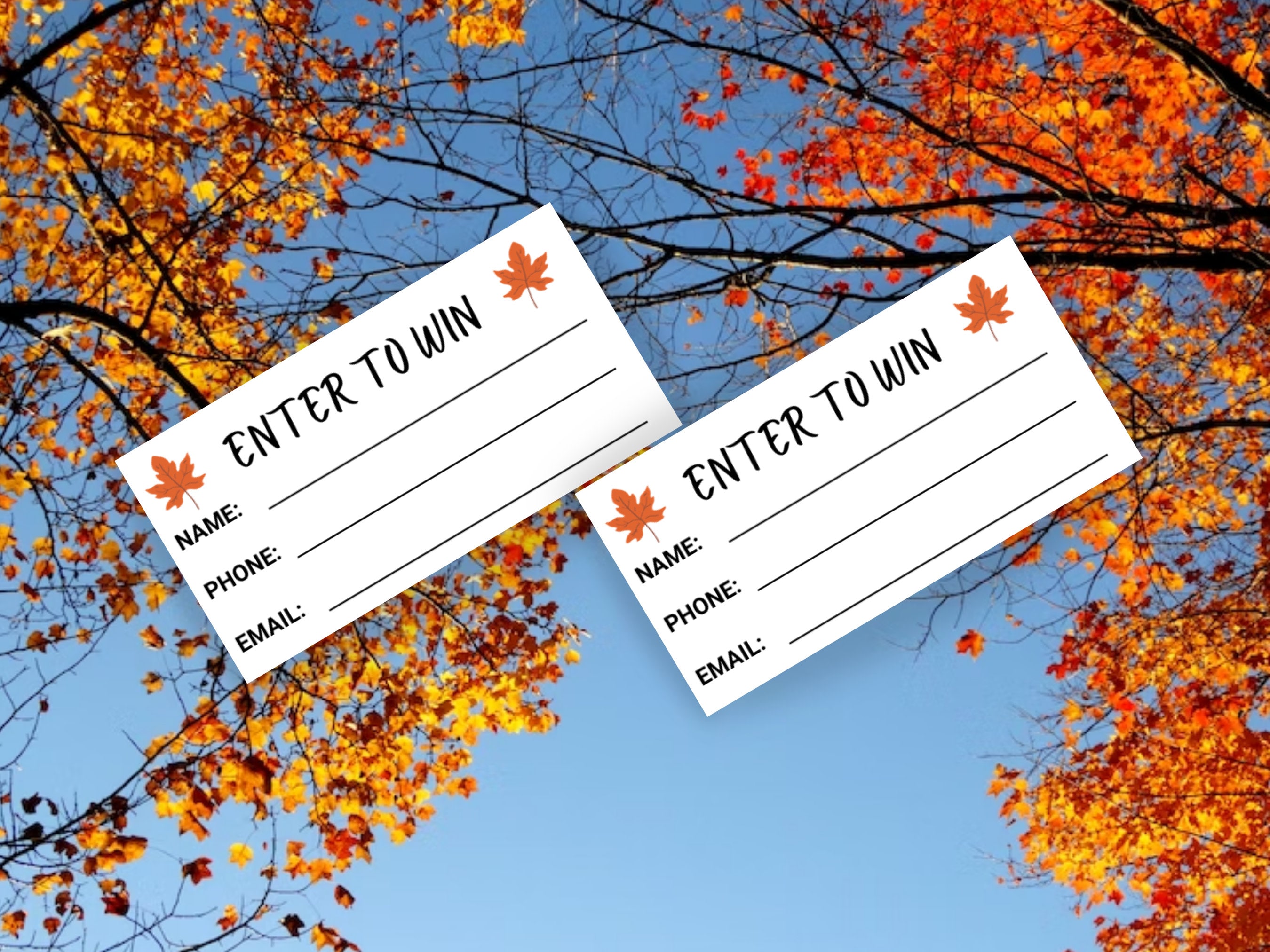 Fall Raffle Signage Fall Leaves Printable Raffle Ticket Template Autumn Leaf Enter to Win ...