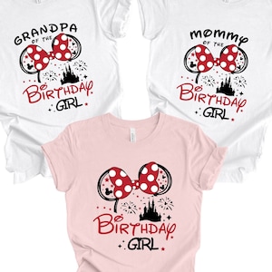 Custom Disney Birthday Shirt, Disney Birthday Girl Shirt, Disney Squad Shirt, Birthday Crew Shirt, Birthday Girl Shirt, Disney Birthday Gift