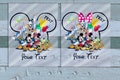 Custom Disneyland Matching Family Ready To Press, Disney 2025 DTF Transfer,Disney Family DTF Print,Heat Press,Iron On Transfer,Dtf Transfers