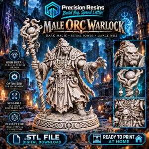 May include: A miniature figure of a Male Orc Warlock holding a staff topped with a sphere and skulls. The character wears layered robes, a skull-adorned belt, and shoulder armor. The base is circular with a stone texture and Celtic knot patterns.