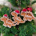Cute Dinosaur Christmas Ornament, Custom Baby Ornament, Trex Ornament, Baby Name Dinosaur Ornament, Dinosaur Ornament Felt