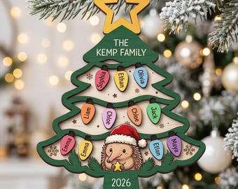 Personalized Family Christmas Tree Ornament, Custom Names Wooden Christmas Lights Ornament, Cute Hedgehog Holiday Keepsake Gift for Family
