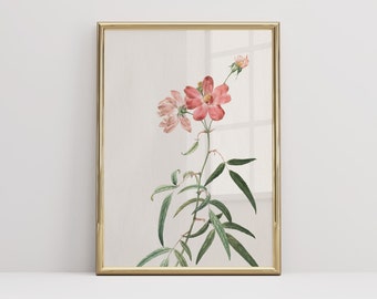 Vintage Botanical Print, Floral Wall Art, Cottagecore Decor, Natural Art, Gallery Wall Prints, Antique Flower Drawing, Housewarming Gift