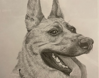 Pet Portrait from Photo - Hand Drawn Custom Pencil Pet Drawing/Portrait