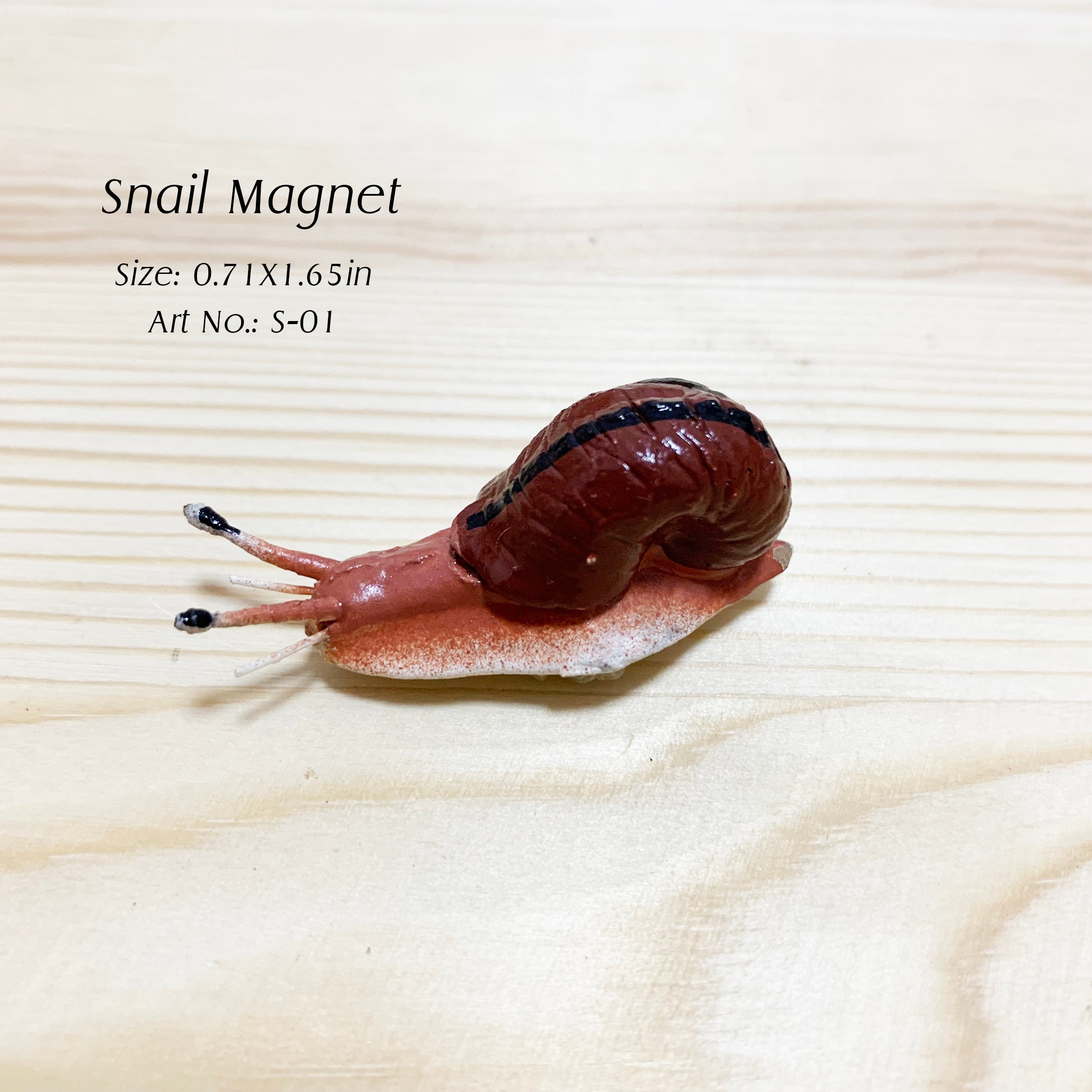 Snail Magnets Clay Snail Magnet: Realistic Animal Figurine - Etsy