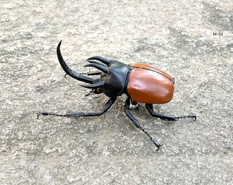 Handmade Clay Beetle Magnet, Realistic Insect Figurine