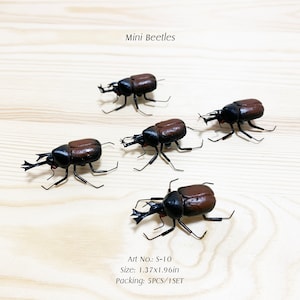 Mini Clay Beetle Fridge Magnets: Realistic Bug Figurine, Wedding Decor (5PCS/1SET)