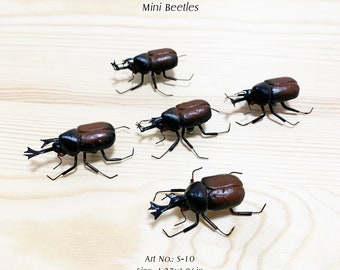 Handmade Clay Beetle Magnet Set: Realistic Fridge Decor, Beetle Figurine