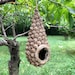 Handmade Bird House Made From Oak Nut Shells, Acorn Birdhouse, Creative ...