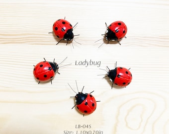 5PCS Ladybug, bug magnet, Small Size Handmade Clay magnet insect Figurine. Realistic insect Model, magnets fridge, refrigerator magnets.