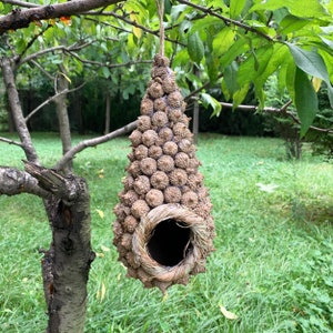 Handmade Cottage Bird House, Small Bird House, Bird House Decal, Pet Bird House, Bird House Wood, Creative Bird House Sign