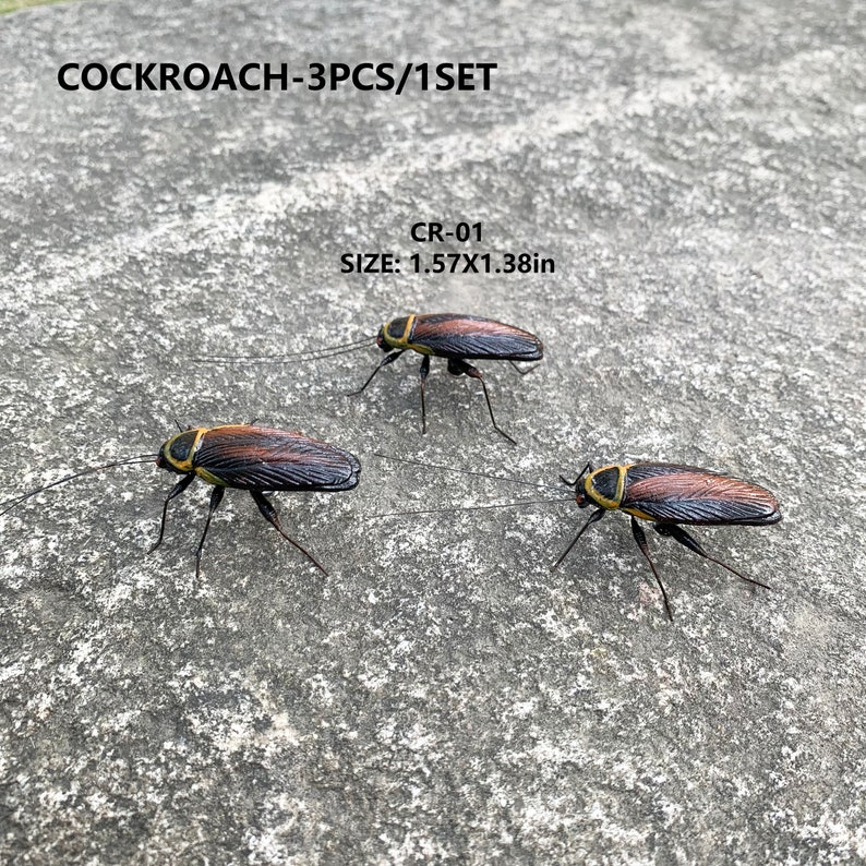 Cockroach Cley Model Cockroach, 3PCS/1SET, Bug Magnet, Handmade Clay Magnet Insect, Figurine ...