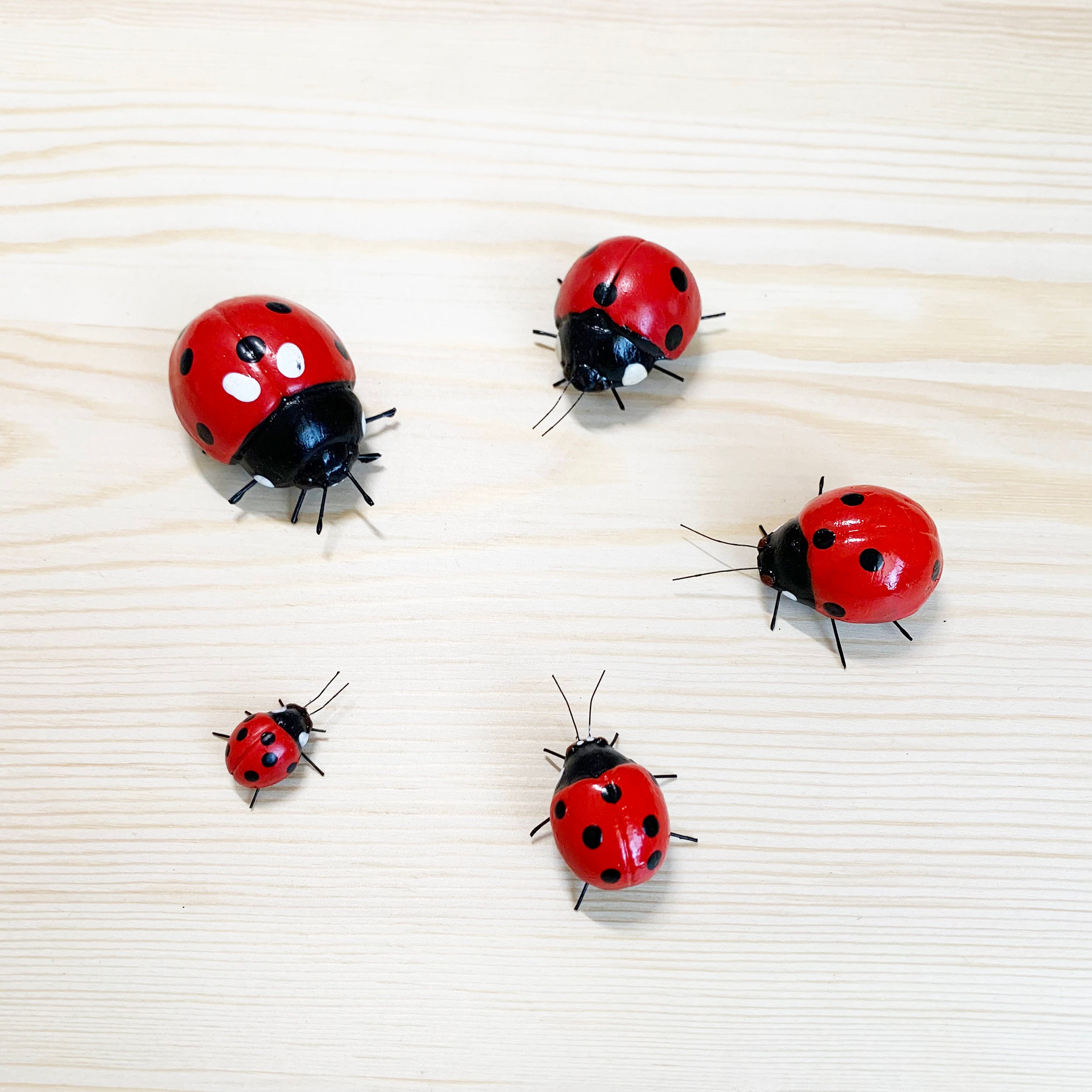 MAPPON REED Lady bug♡ 　3本セット Ladybug, Bug Magnet, Small Size Handmade Clay Magnet Insect