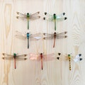 Middle size dragonfly magnet, Gift for bug lover, bug magnet, cute animal magnets, Wedding decoration, dragonfly lover, magnet Gift