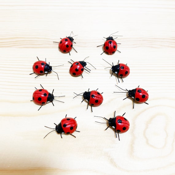 10PCS Mini Ladybug, Bug Magnet, Small Handmade Clay Magnet Insect