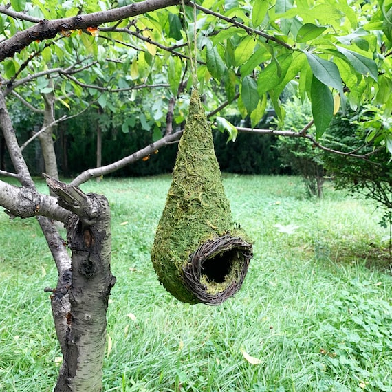 Pet bird house, Outdoor Bird Nest, Handmade Creative Pet Bird House Outdoor, Hummingbird House Hanging