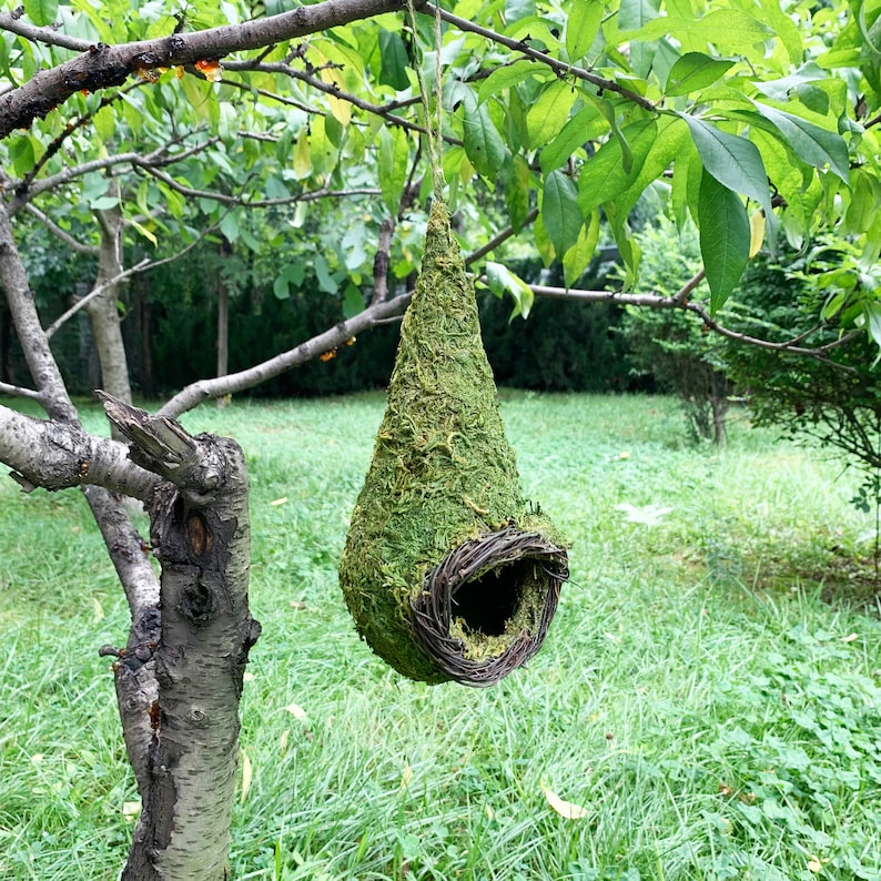 May include: A teardrop-shaped birdhouse covered in green moss, hanging from a tree branch. The entrance is a circular opening framed by woven twigs. The background shows a green lawn and foliage.