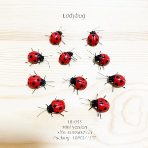 Op de afbeelding: Een verzameling van tien miniatuur lieveheersbeestjes. Elk lieveheersbeestje heeft een rood lichaam met zwarte stippen en een zwarte kop. De tekst "Ladybug" staat boven de beeldjes. De grootte is ongeveer 1,5 x 1,8 cm.