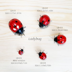 May include: Five red ladybug figurines with black spots and black heads are displayed on a light wood surface. The ladybugs vary in size, with the largest measuring 1.77 x 1.37 inches and the smallest 0.59 x 0.71 inches. The word "Ladybug" is written in white.