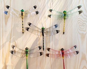 Large Realistic Dragonfly Fridge Magnet: Garden Wall Decor