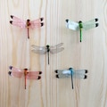 Mini Dragonfly Fridge Magnet: Garden Wall Decor
