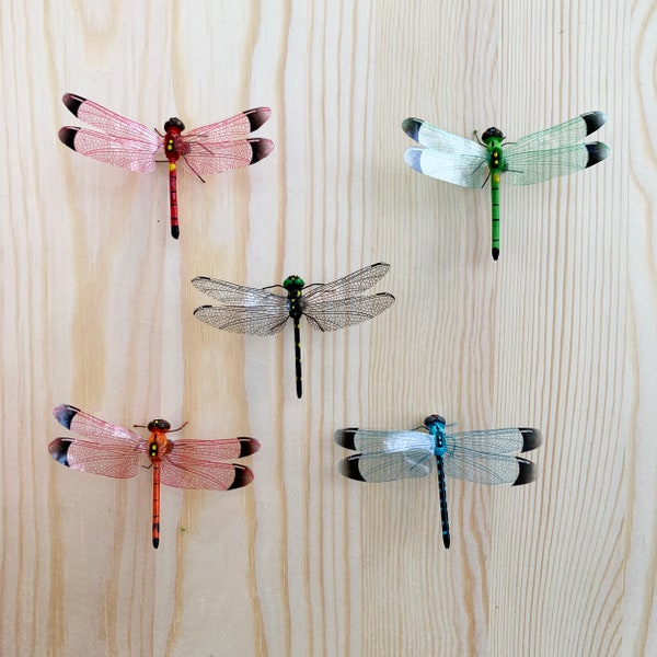 Mini-sized dragonfly magnet, Gift for bug lover, bug magnet cute animal magnets, Wedding decoration, dragonfly Lover, magnet Gift