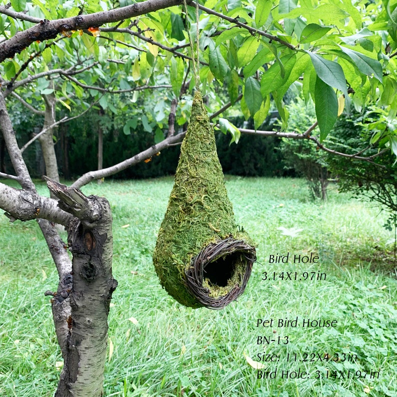 May include: A hanging, teardrop-shaped birdhouse covered in green moss. The entrance is a circular opening framed by woven twigs. The birdhouse is suspended from a tree branch by a natural fiber cord. The text "Bird Hole 3.14X1.97in" is visible.
