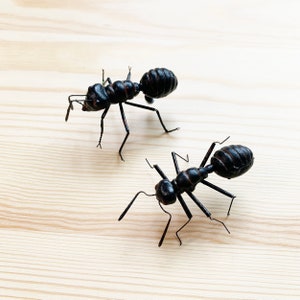 May include: Two black metal ant sculptures with detailed segmented bodies and spindly legs. The ants are positioned on a light wood-grain surface, creating a contrast between the dark insects and the light background. The antennae are delicately curved.