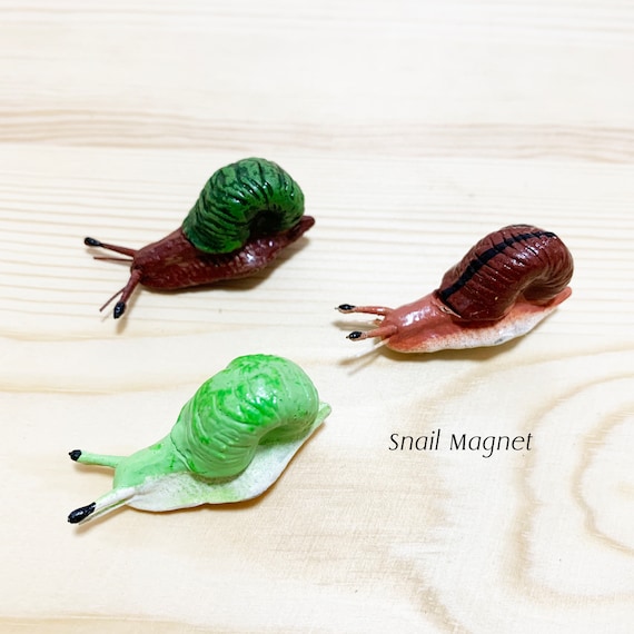 Small Snail Magnet, Clay Magnet Animals Figurine Realistic Animal Model,  Magnets Fridge, Refrigerator Magnets and Novelty Gifts. 