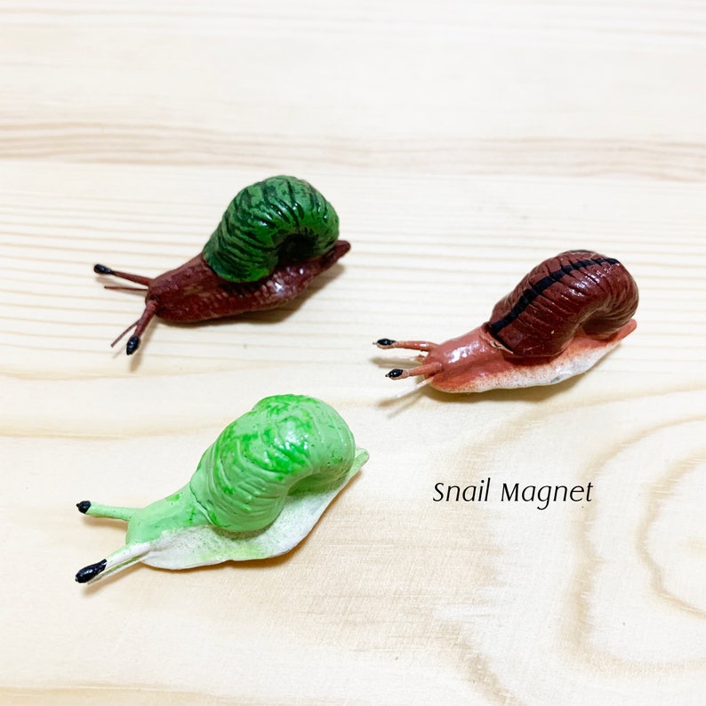 Snail Magnets Clay Snail Magnet: Realistic Animal Figurine - Etsy