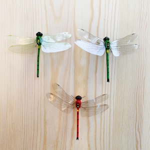 Imán de libélula de tamaño pequeño, regalo para amantes de los insectos, imán de insectos, imanes de animales lindos, decoración de bodas, amante de las libélulas, regalo de imán
