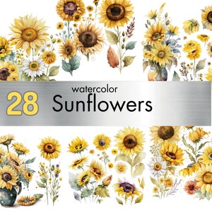 Herbst Sonnenblumen Aquarell Clipart - PNG Blumenarrangements mit Sonnenblumen zum sofortigen Download und kommerziellen Gebrauch