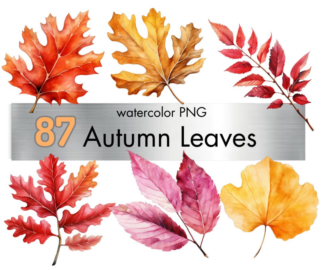 Autumn Leaves Clipart Bundle - 87 Watercolor Images - Fall Foliage ...