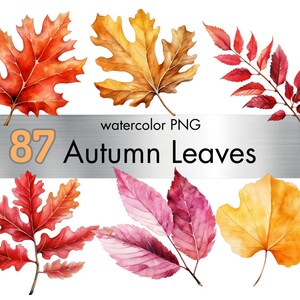 Autumn Leaves Clipart Bundle - 87 Watercolor Images - Fall Foliage Illustrations. Transparent PNG. Personal/Commercial Rights