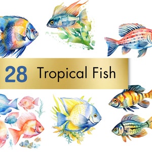 Watercolor Fish Clipart, Tropical Fish Clipart, Coral Reef Fish Clipart, Commercial Use, Digital Download, Transparent Bg