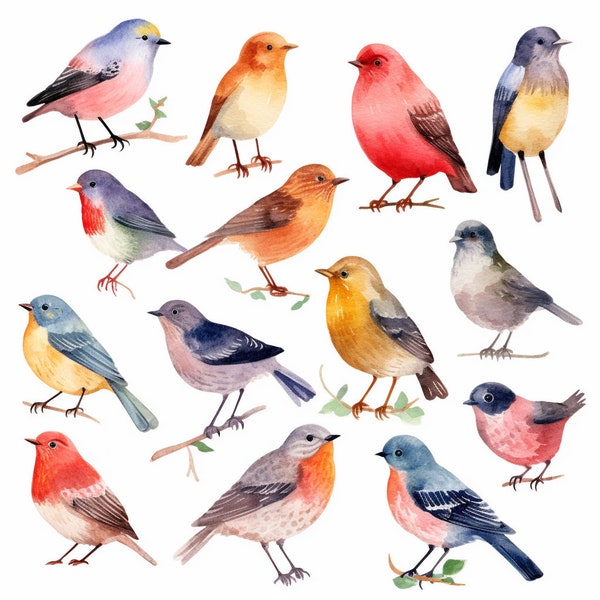 Set of 77, Watercolor Birds Clip Art, Colorful Birds Clipart, Spring Clipart, Bird Watercolor, Birds & Blossoms, Digital PNG, Commercial Use