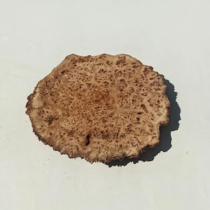 Rare Albizia Burl Slab: Exotic Wood for Woodworking, Resin Art
